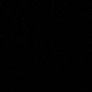 Meet your Posher, Camila